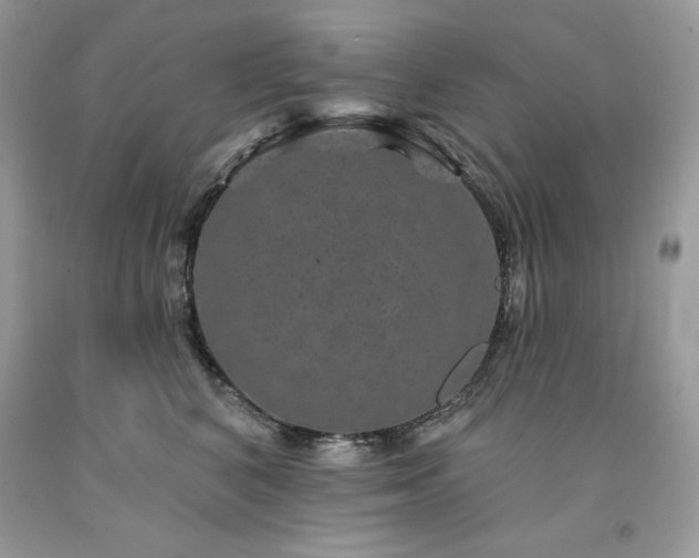 X0000094170616200710261110