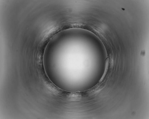 X0000094170619200710261110