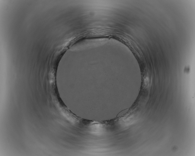 X0000094170620200710261110