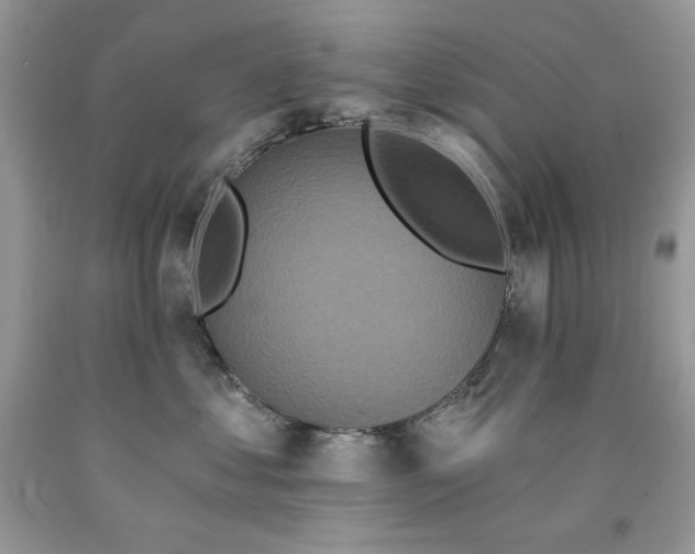 X0000094170621200710261110