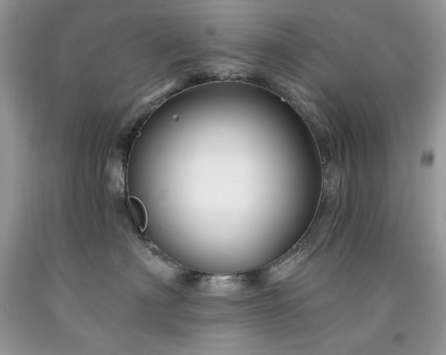 X0000094170622200710261110