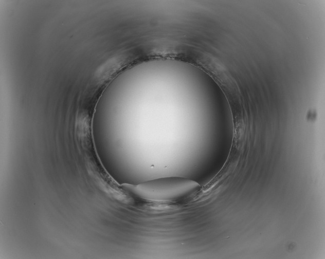 X0000094170623200710261110