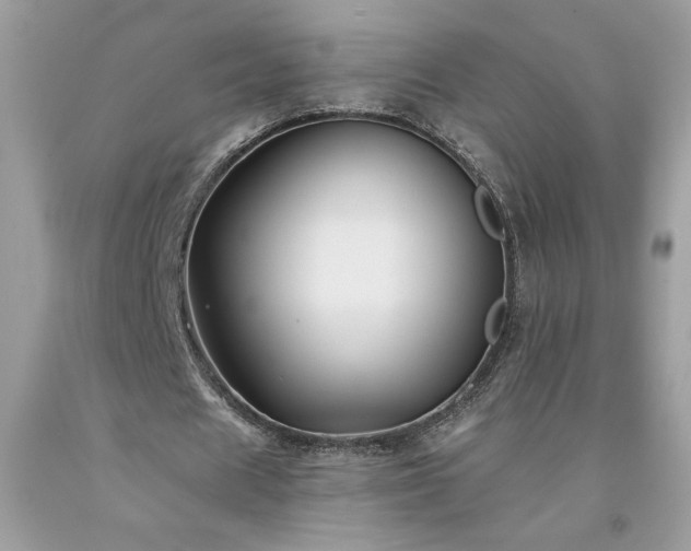 X0000094170625200710261109