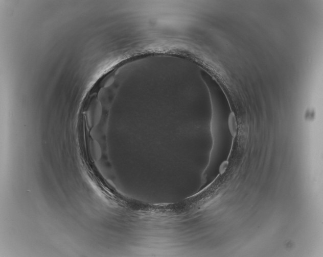 X0000094170626200710261109