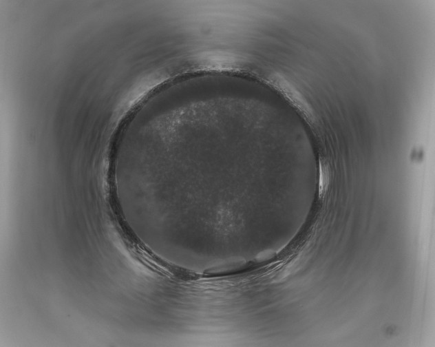 X0000094170627200710261109