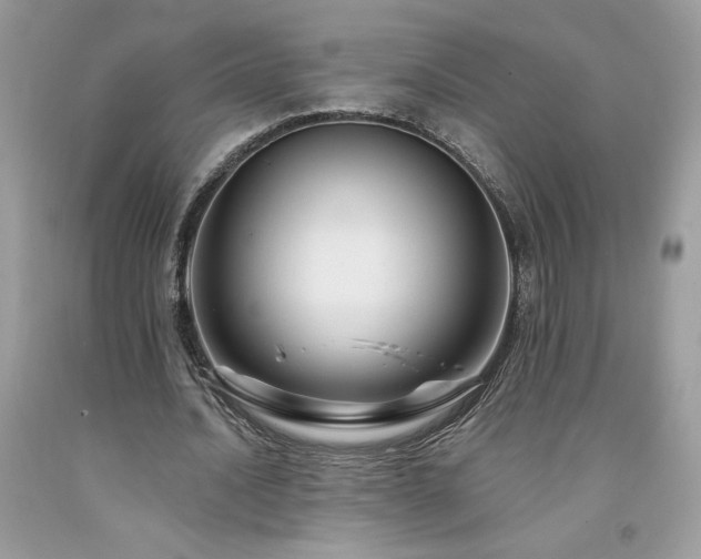 X0000094170628200710261109