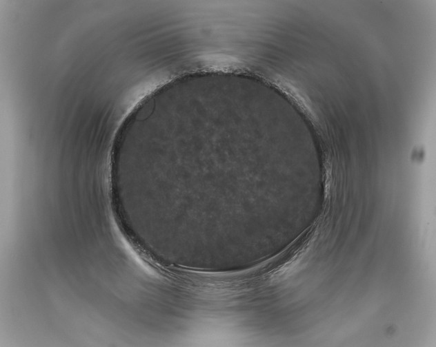 X0000094170630200710261109