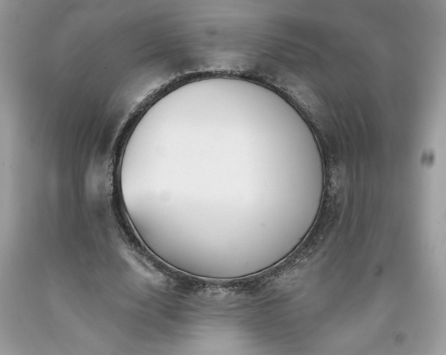 X0000094170632200710261110