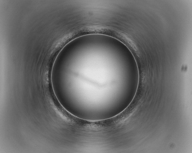 X0000094170633200710261110