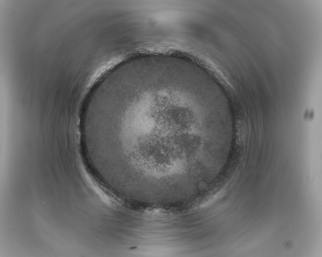 X0000094170634200710261110