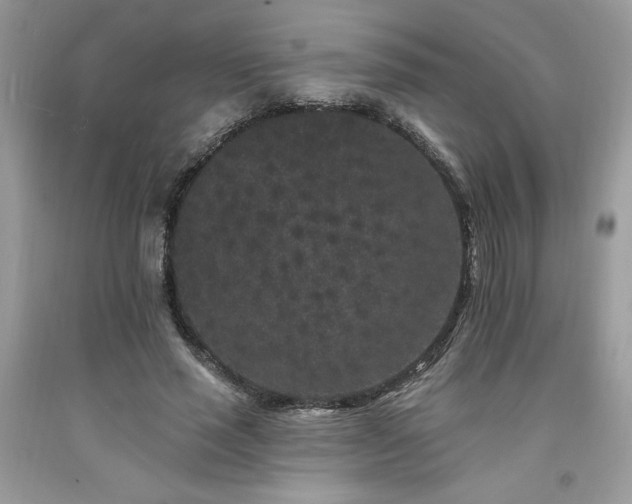 X0000094170637200710261110