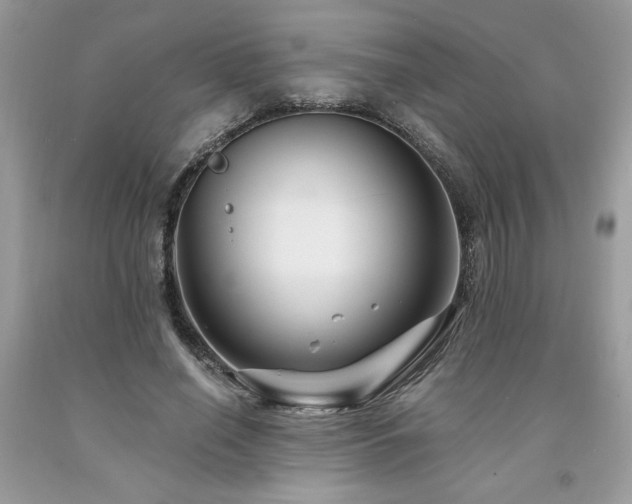 X0000094170638200710261110