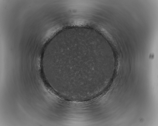X0000094170640200710261110