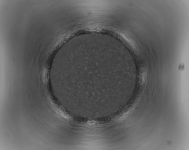 X0000094170641200710261110