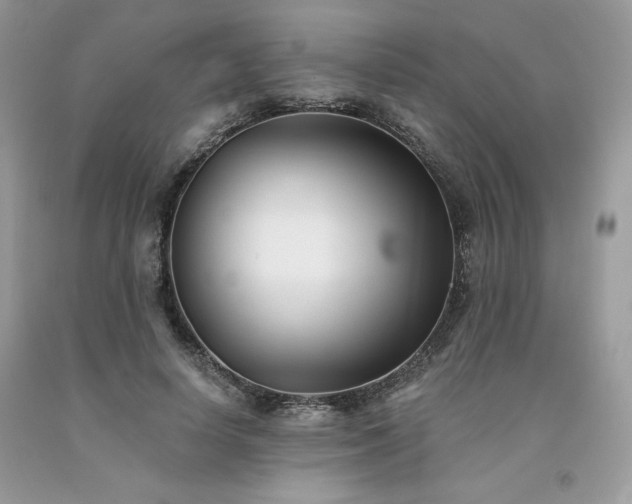 X0000094170642200710261110