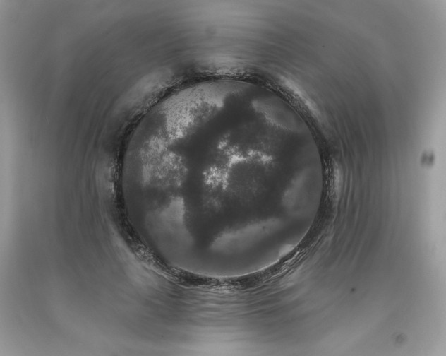 X0000094170643200710261110