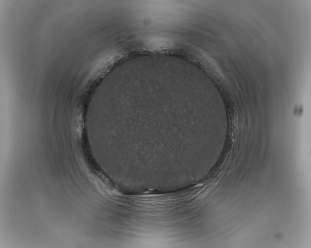 X0000094170644200710261110