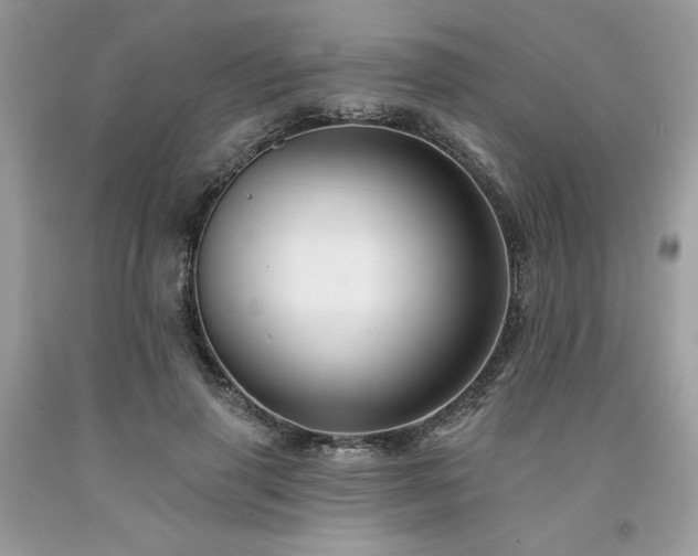 X0000094170645200710261110