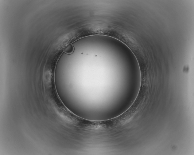 X0000094170646200710261110