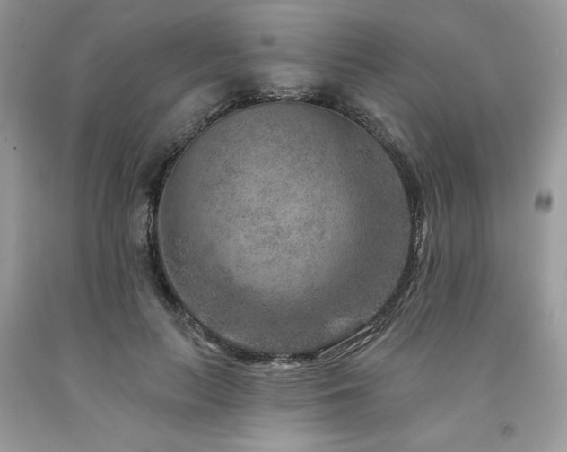 X0000094170647200710261110