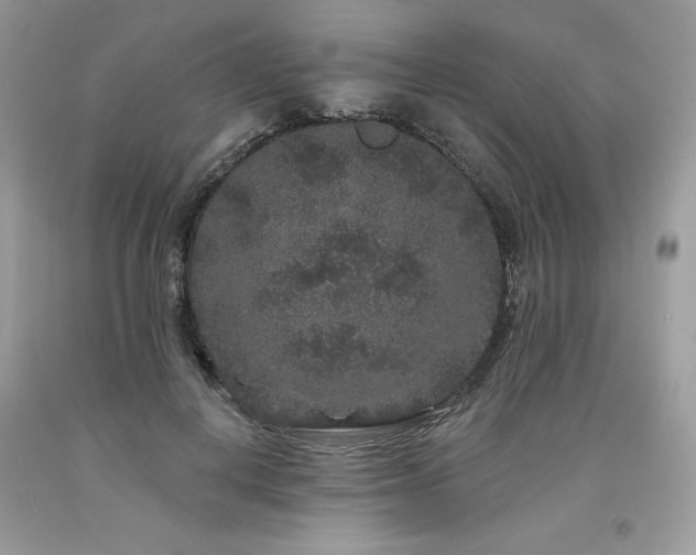 X0000094170648200710261110