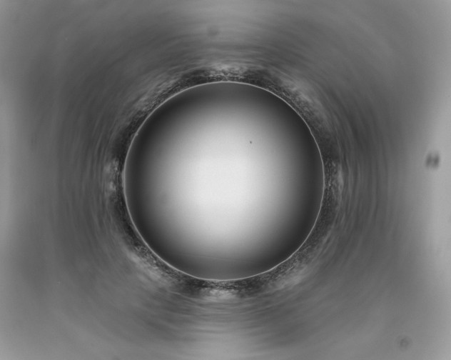 X0000094170649200710261110