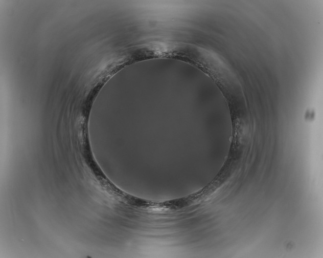 X0000094170650200710261110