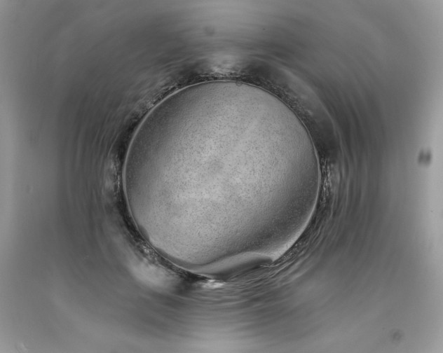 X0000094170651200710261110