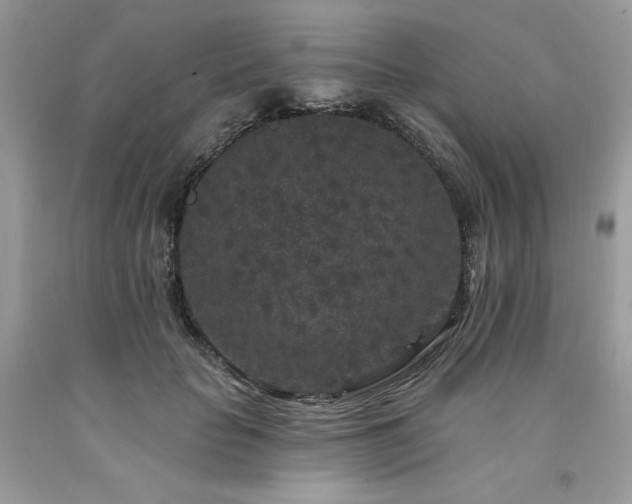 X0000094170653200710261110