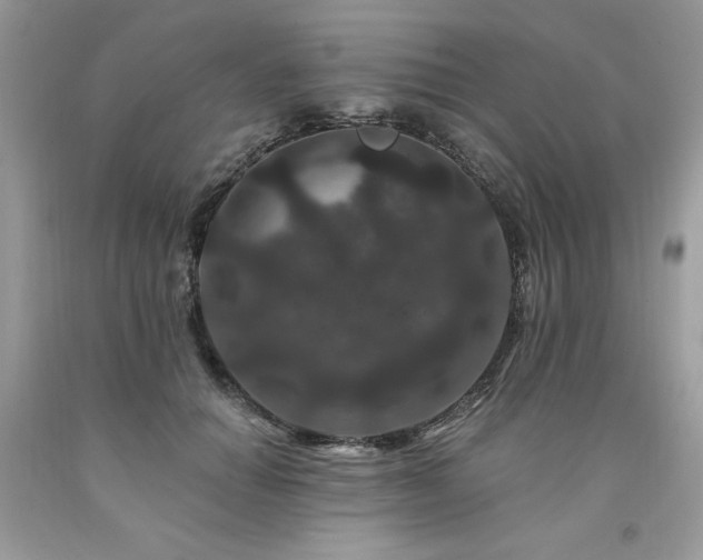 X0000094170654200710261110