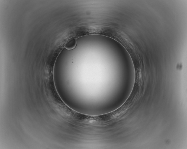 X0000094170655200710261110