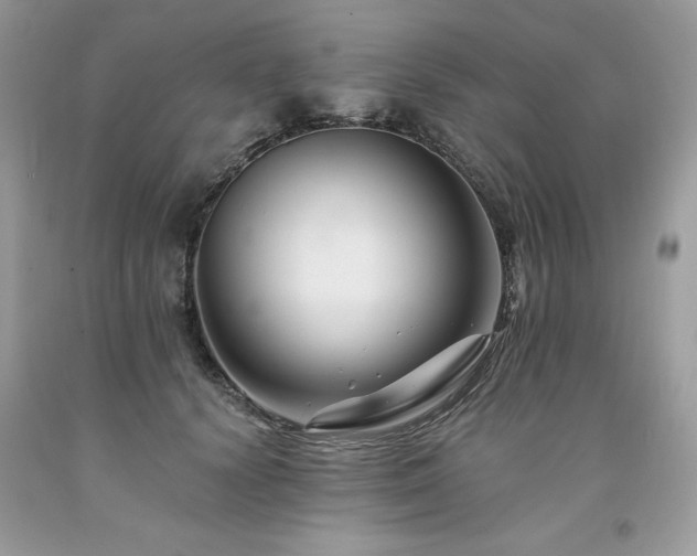 X0000094170656200710261110