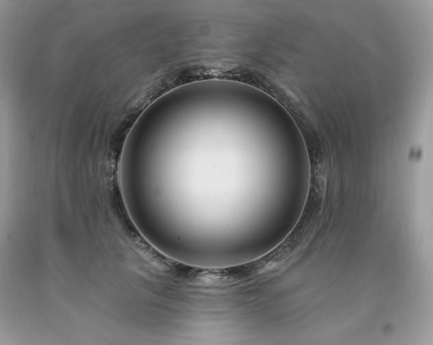 X0000094170657200710261110