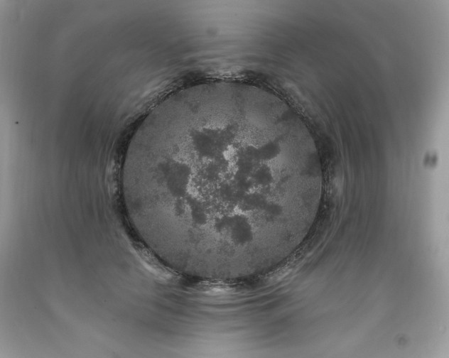 X0000094170658200710261110