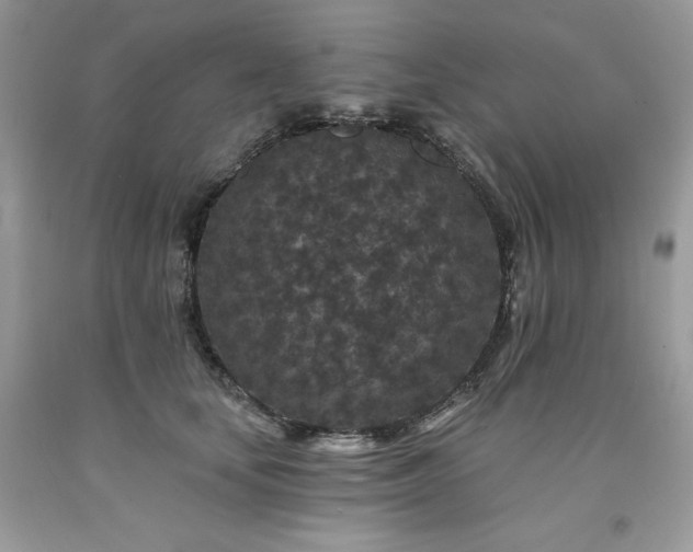 X0000094170659200710261110