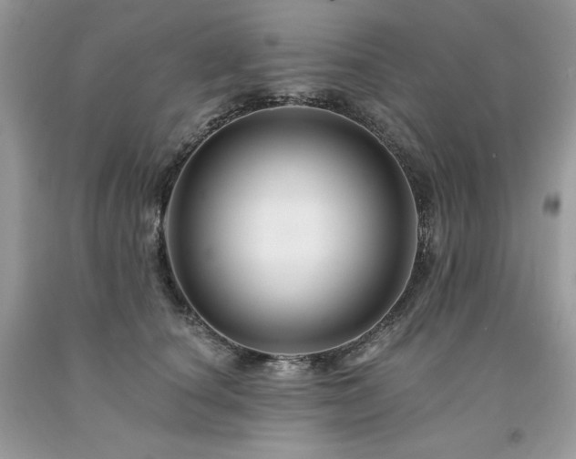 X0000094170660200710261110