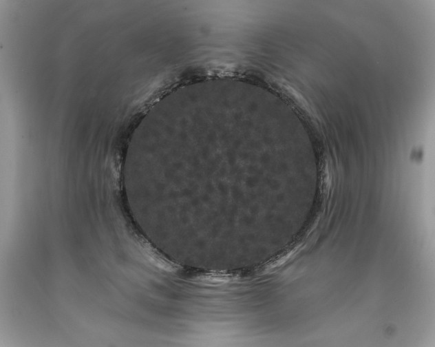 X0000094170661200710261110