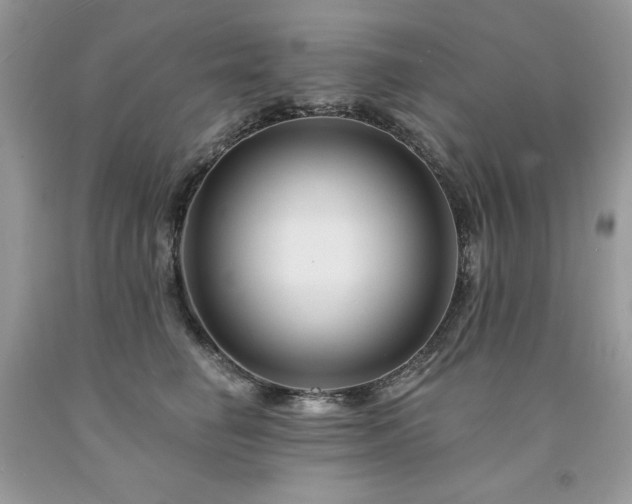 X0000094170662200710261110