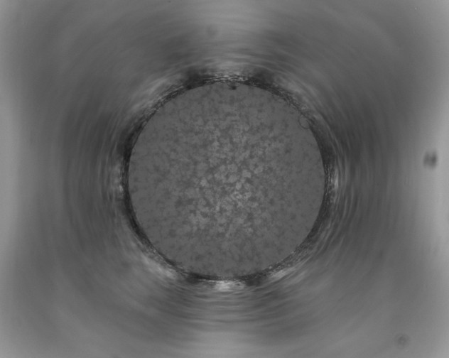 X0000094170663200710261110