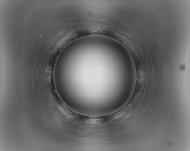X0000094170664200710261110