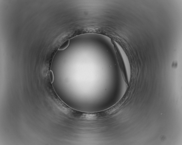 X0000094170665200710261110