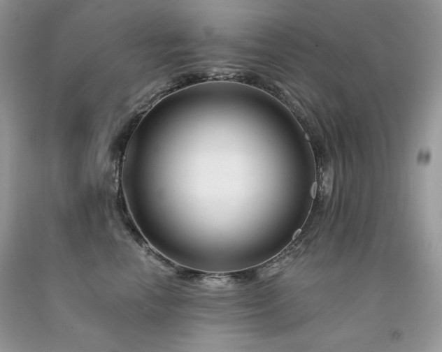 X0000094170666200710261110