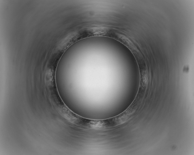 X0000094170667200710261110