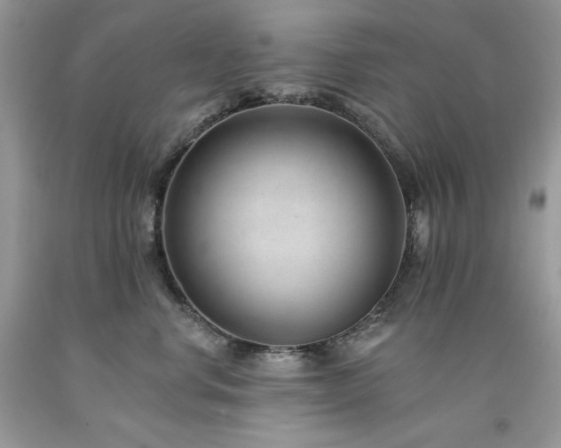 X0000094170668200710261110