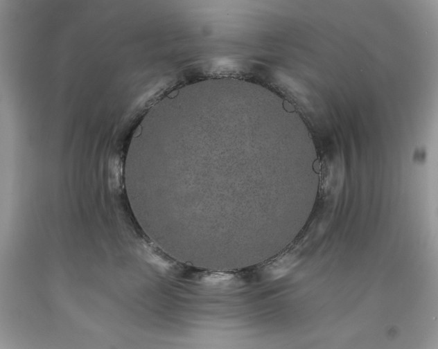X0000094170669200710261110