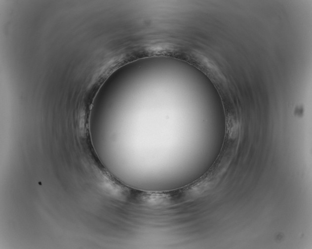 X0000094170670200710261110
