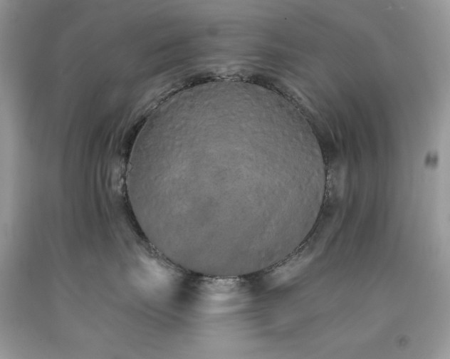 X0000094170671200710261110