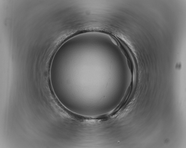 X0000094170673200710261109