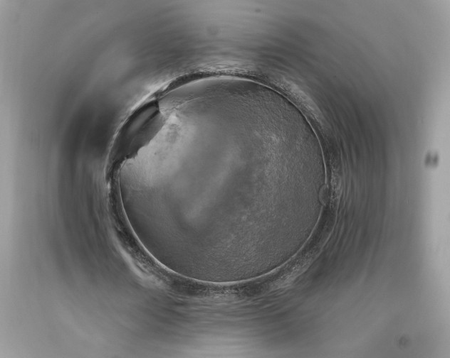 X0000094170674200710261109