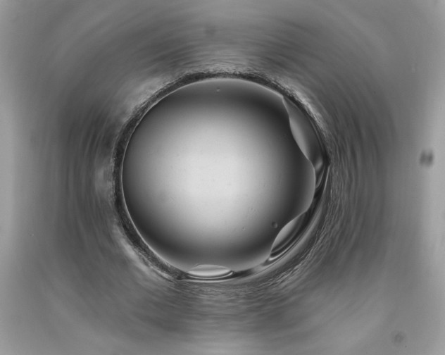 X0000094170677200710261109